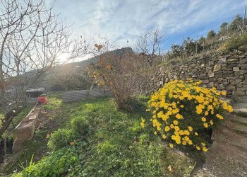 Villa Vallecrosia - foto 35