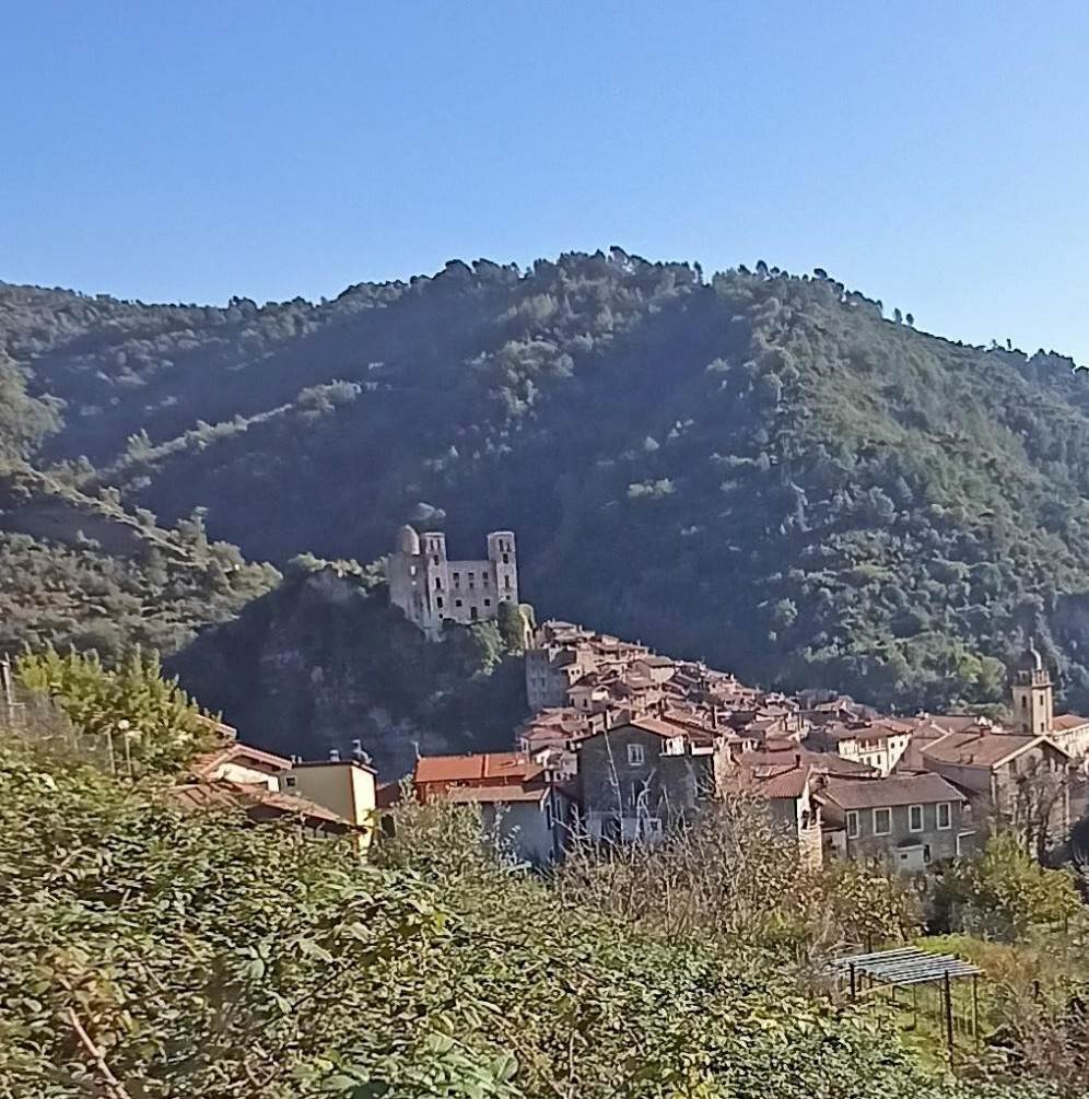 Terreno edificabile Dolceacqua - foto 1