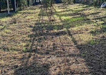 Terreno edificabile Dolceacqua - foto 6