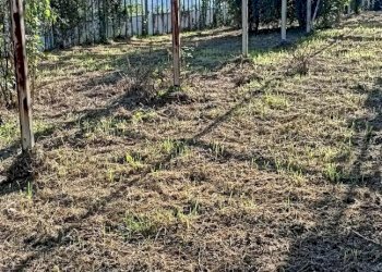 Terreno edificabile Dolceacqua - foto 7