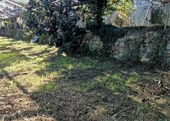 Terreno edificabile Dolceacqua - foto 8