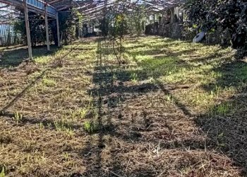 Terreno edificabile Dolceacqua - foto 9