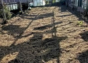 Terreno edificabile Dolceacqua - foto 10