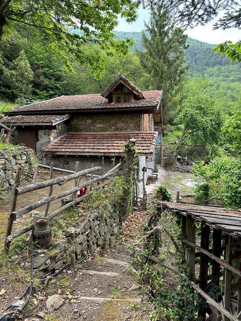 Rustico Pigna - foto 2