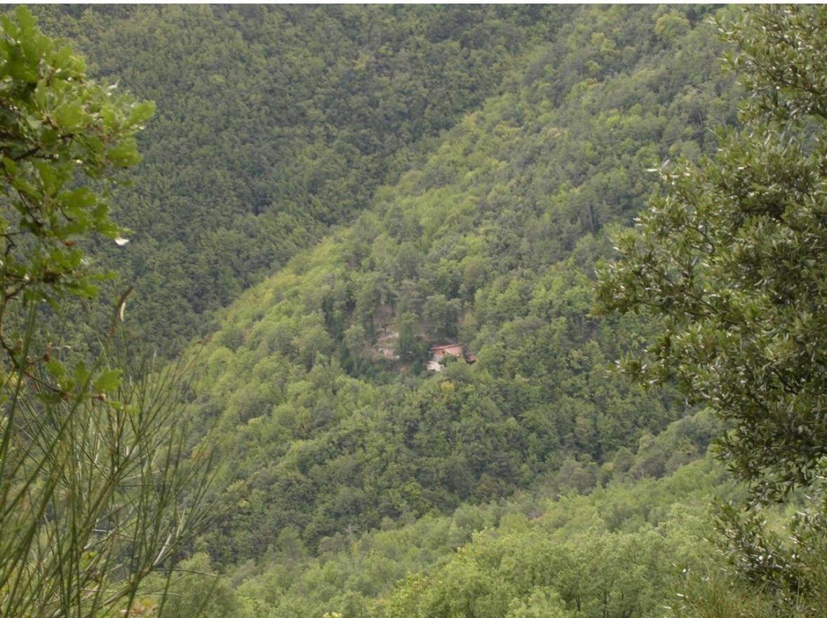 Rustico Pigna - foto 3