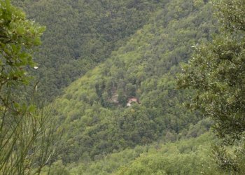 Rustico Pigna - foto 3