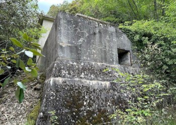 Rustico Pigna - foto 14