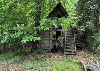 Rustico Pigna - foto 19