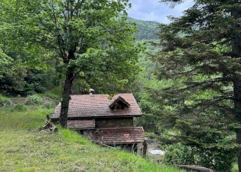 Rustico Pigna - foto 21