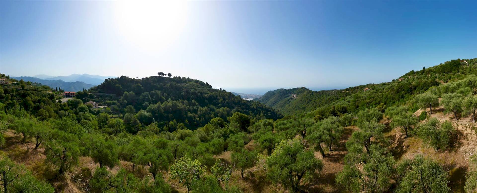 Terreno edificabile Camporosso - foto 1