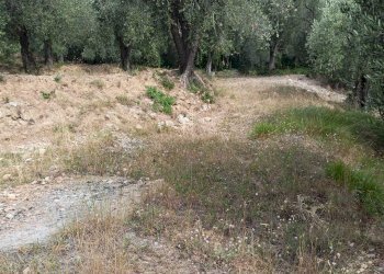 Terreno edificabile Camporosso - foto 3