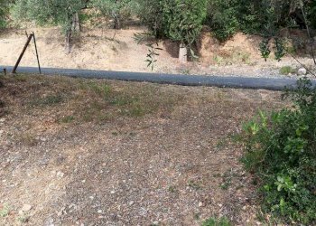 Terreno edificabile Camporosso - foto 4