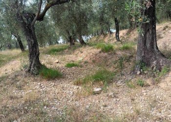 Terreno edificabile Camporosso - foto 6