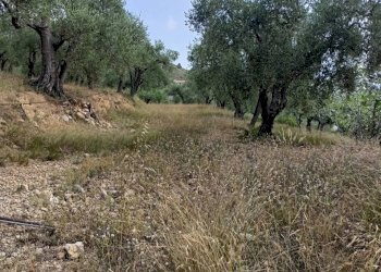 Terreno edificabile Camporosso - foto 7