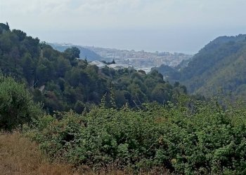 Terreno edificabile Camporosso - foto 13