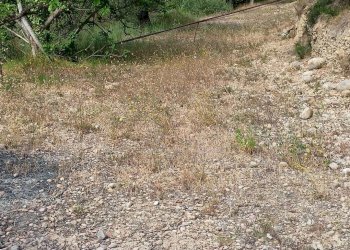 Terreno edificabile Camporosso - foto 14