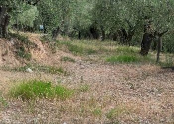 Terreno edificabile Camporosso - foto 16