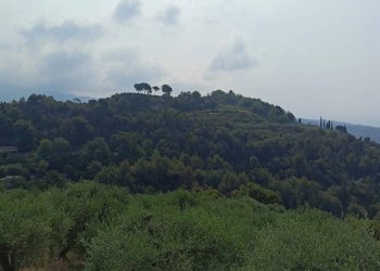 Terreno edificabile Camporosso - foto 20