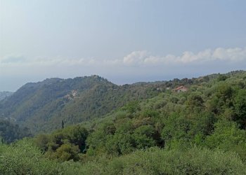 Terreno edificabile Camporosso - foto 22