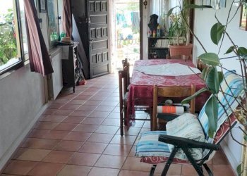 Independent house Dolceacqua - photo 6