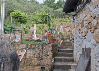 Independent house Dolceacqua - photo 11