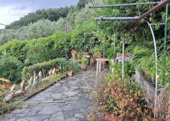Independent house Dolceacqua - photo 22