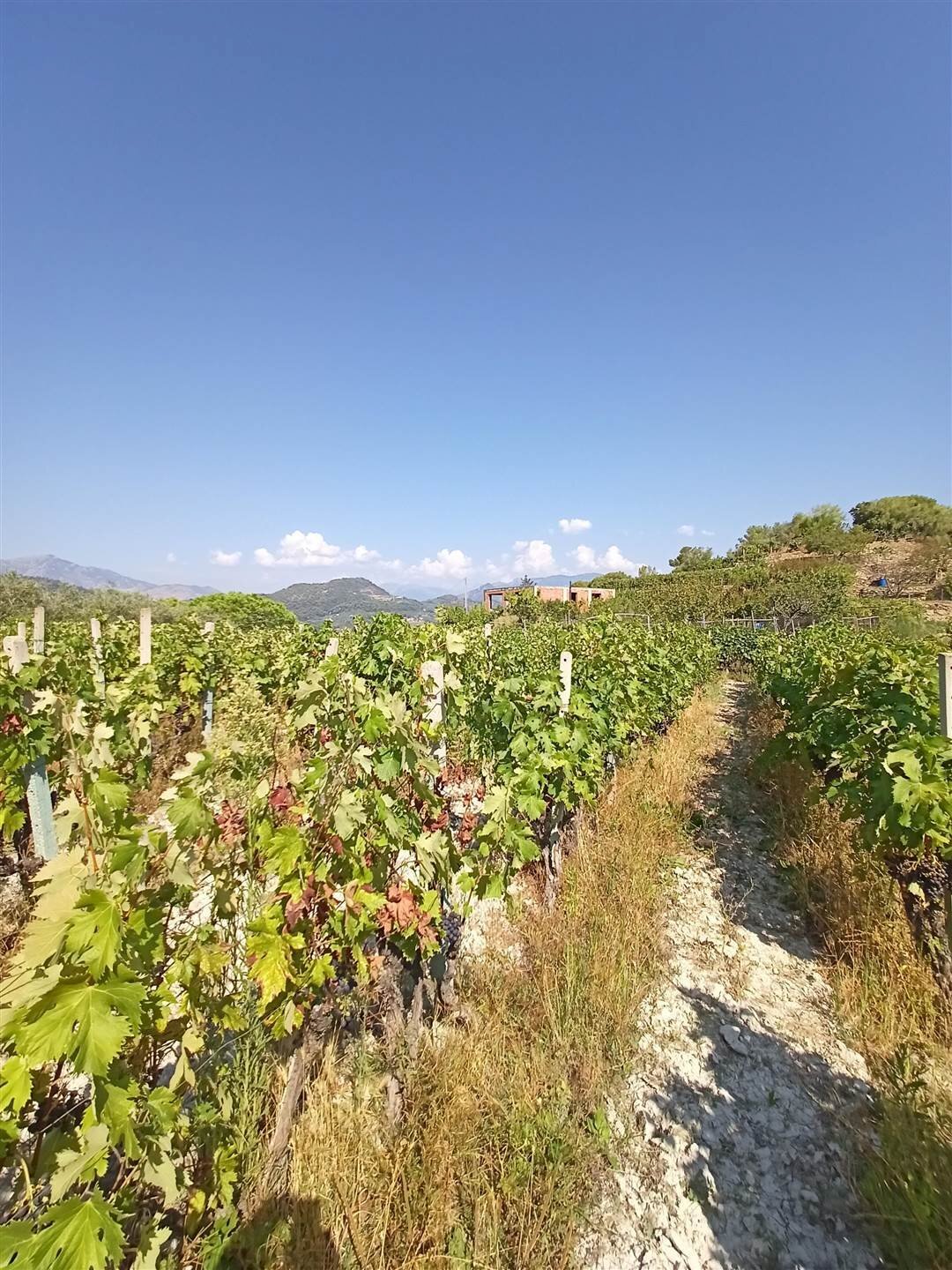Casa indipendente San Biagio della Cima - foto 1