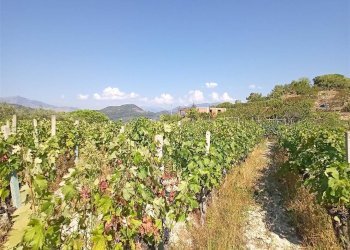 Casa indipendente San Biagio della Cima - foto 1