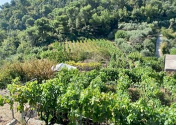 Casa indipendente San Biagio della Cima - foto 2