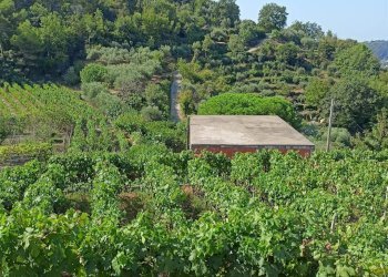 Casa indipendente San Biagio della Cima - foto 3