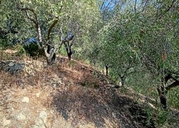 Casa indipendente San Biagio della Cima - foto 7