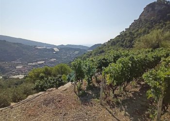 Casa indipendente San Biagio della Cima - foto 9