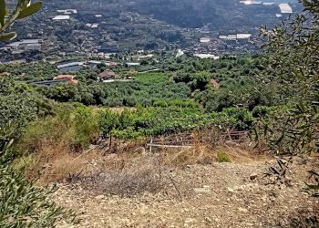 Casa indipendente San Biagio della Cima - foto 10