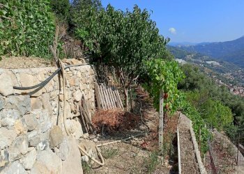Casa indipendente San Biagio della Cima - foto 11