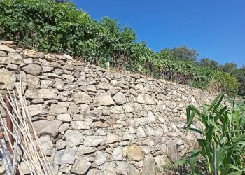 Casa indipendente San Biagio della Cima - foto 14