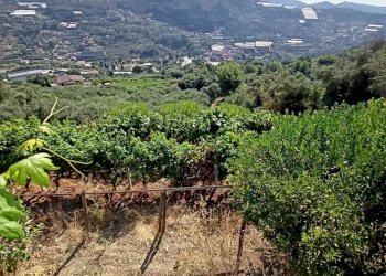 Casa indipendente San Biagio della Cima - foto 15