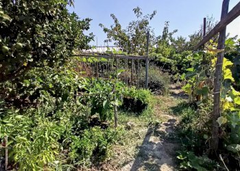 Casa indipendente San Biagio della Cima - foto 19