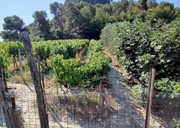 Casa indipendente San Biagio della Cima - foto 21