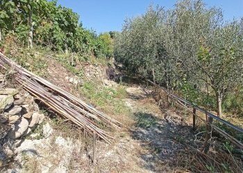Casa indipendente San Biagio della Cima - foto 29