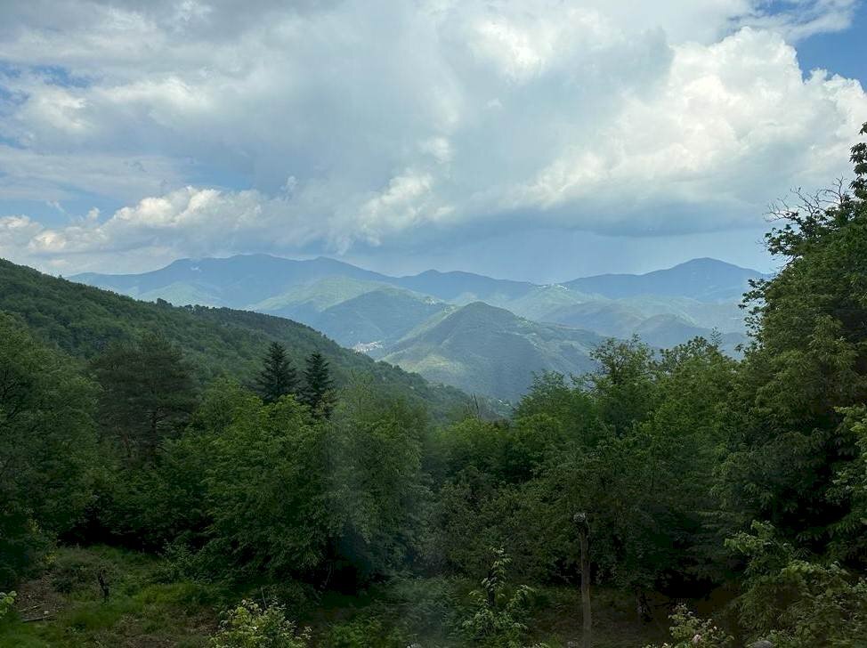 Rustic Apricale - photo 2