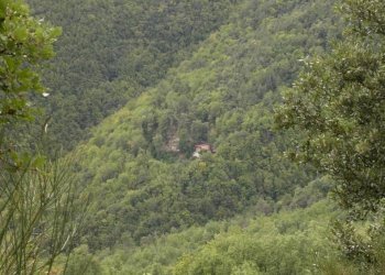 Rustico Apricale - foto 23