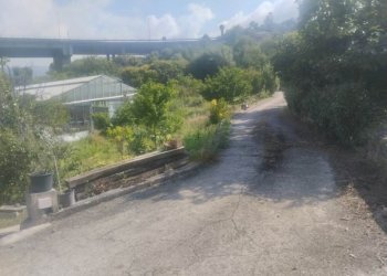 Independent house Bordighera - photo 15