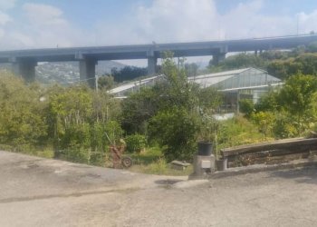 Independent house Bordighera - photo 16