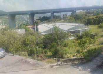 Independent house Bordighera - photo 21