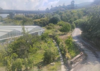 Independent house Bordighera - photo 23