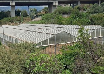 Independent house Bordighera - photo 33