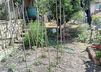 Villa Bifamiliare Soldano - foto 24