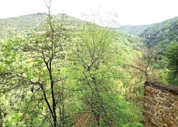 Two-room apartment Apricale - photo 20