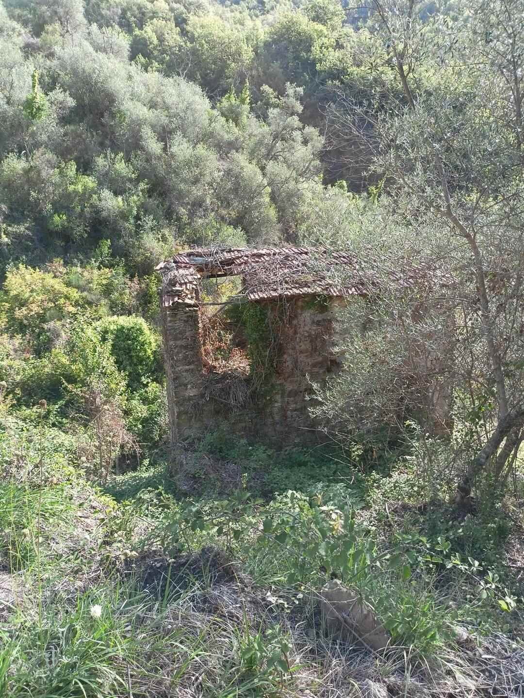 Rustic Apricale - photo 2