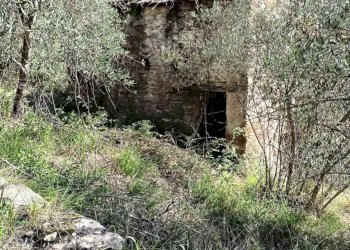 Rustico Apricale - foto 4